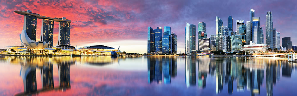 multi annual travel insurance policy
